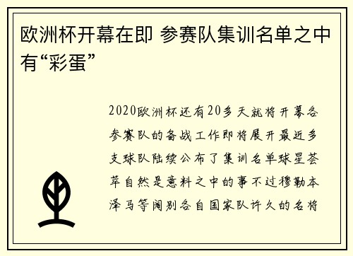 欧洲杯开幕在即 参赛队集训名单之中有“彩蛋”